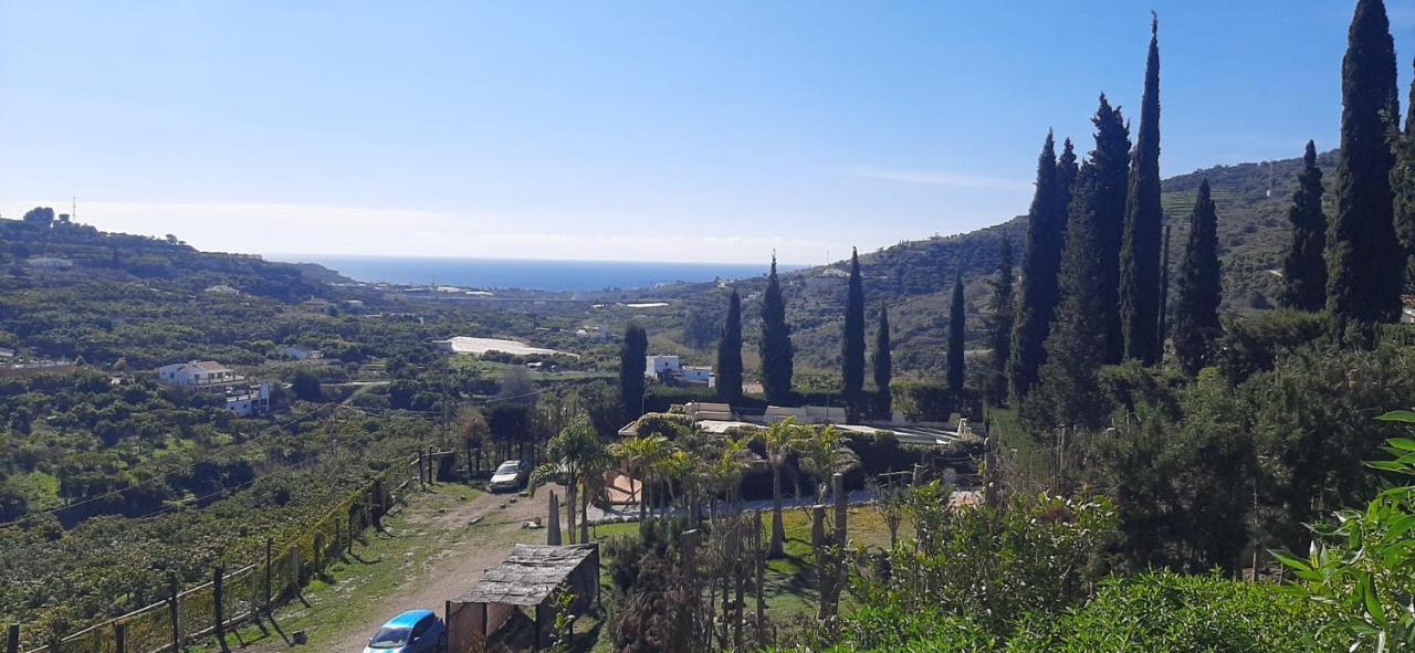 Antigua Finca De Ayo Y Karina Villa Frigiliana Esterno foto